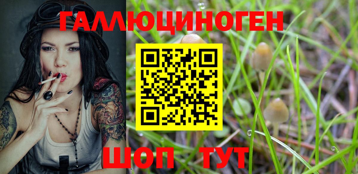 Галлюциногенные грибы мицелий Белорецк