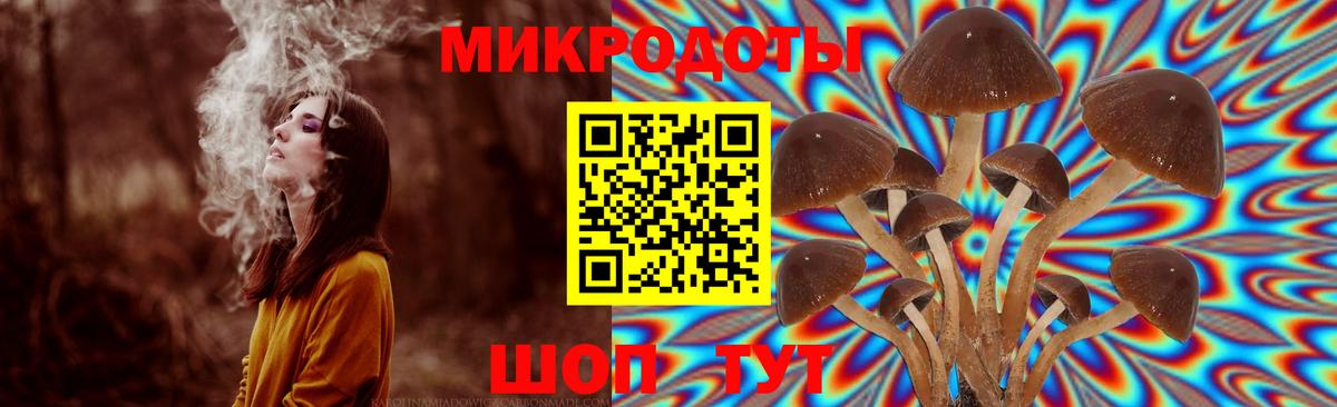 Псилоцибиновые грибы Magic Shrooms  Вход с VPN  Белорецк 